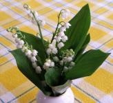 muguet (photo-wikipedia)