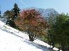 Les rochers de Naye, randonnée en ce début d'automne sous la neige