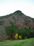 colline-automne