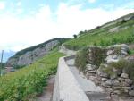 Montée dans les Grandes Vignes