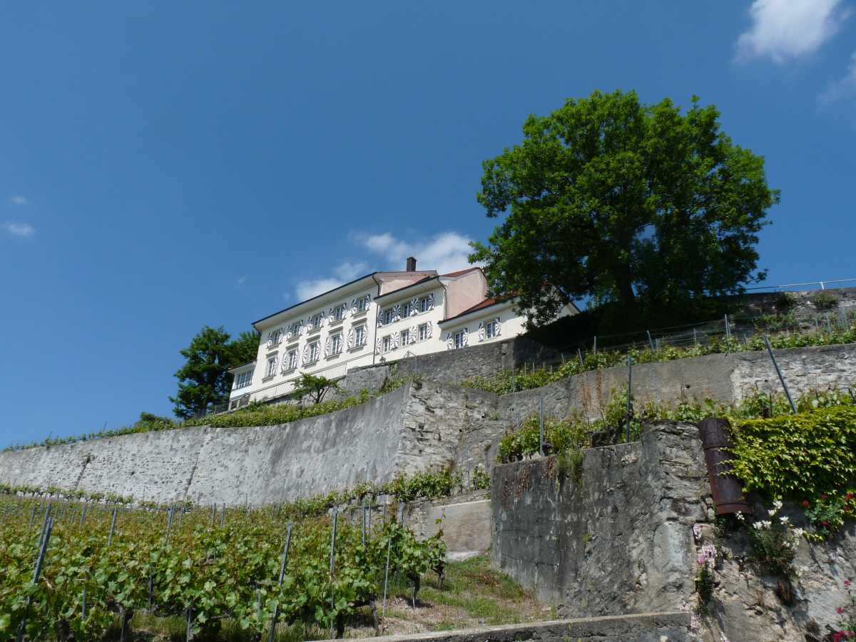 Château de Montagny