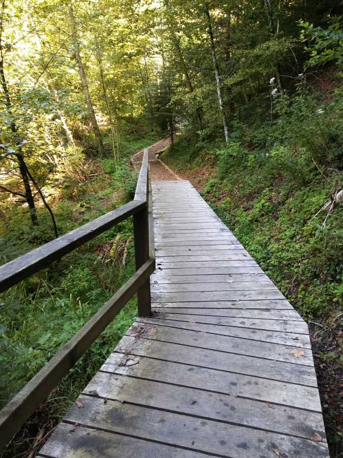 Passerelle et piste finlandaise