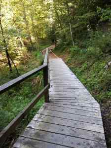 Passerelle et piste finlandaise