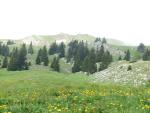 Sommet du Mont Tendre en vue, juste après la buvette.