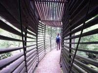 Un pont de l'Expo 02