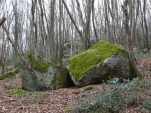 Deux blocs moyens sur le chemin.