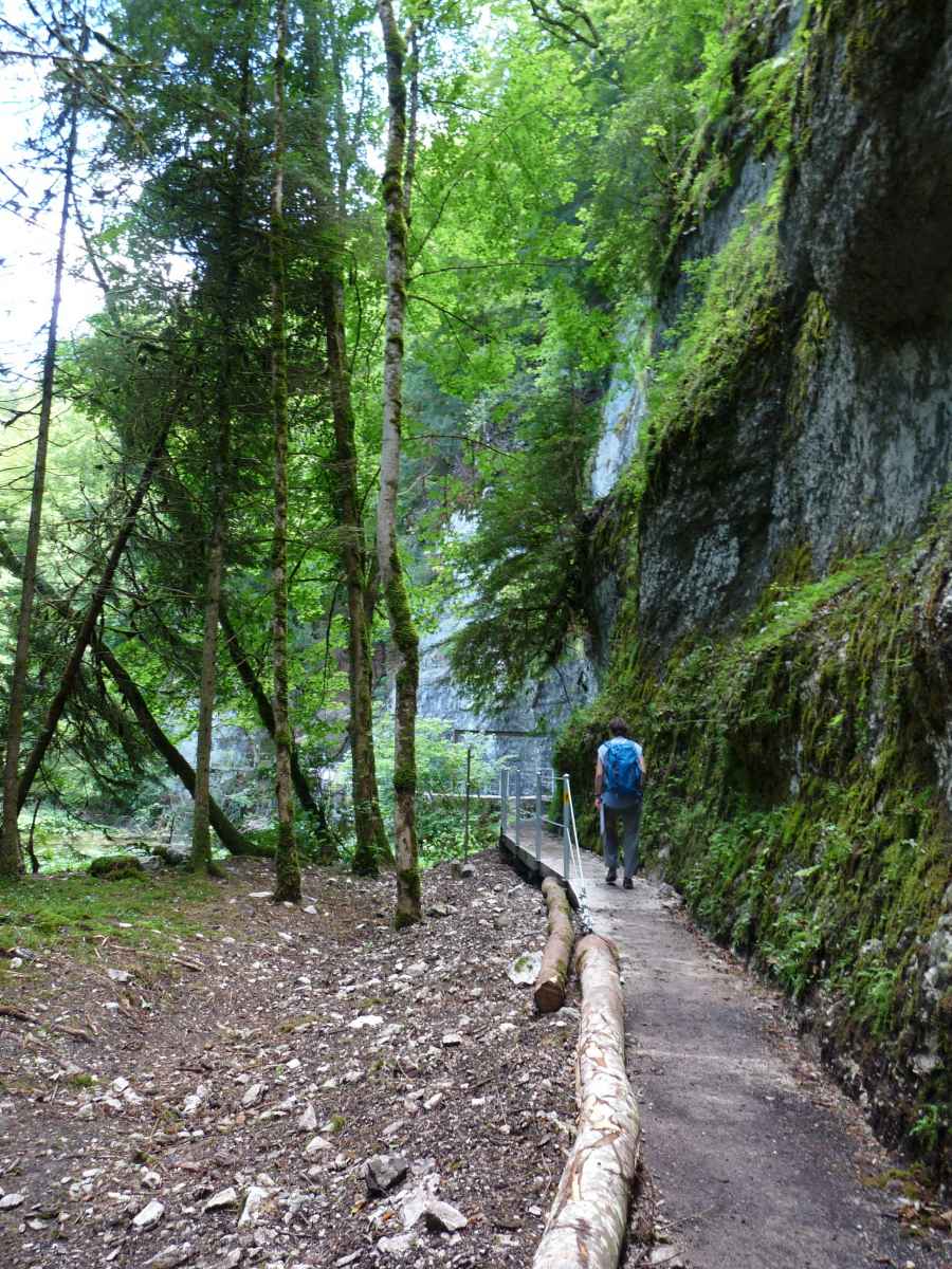 Falaise en rive droite