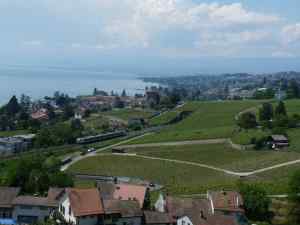 Tour Bertholo et train