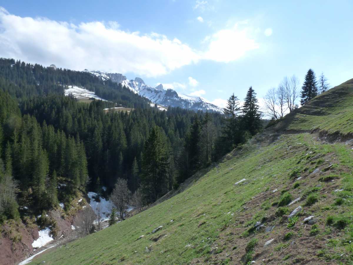 Vue sur les Tours d'Aï