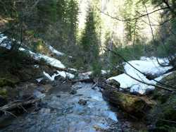 Torrent des Joux