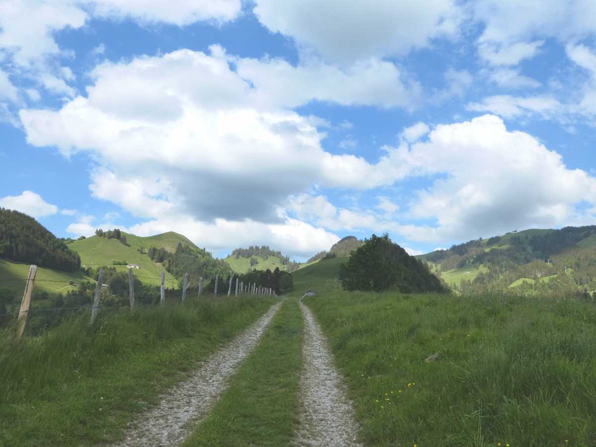 Fin de la descente de croupe