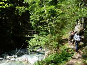 Petit Pont TP